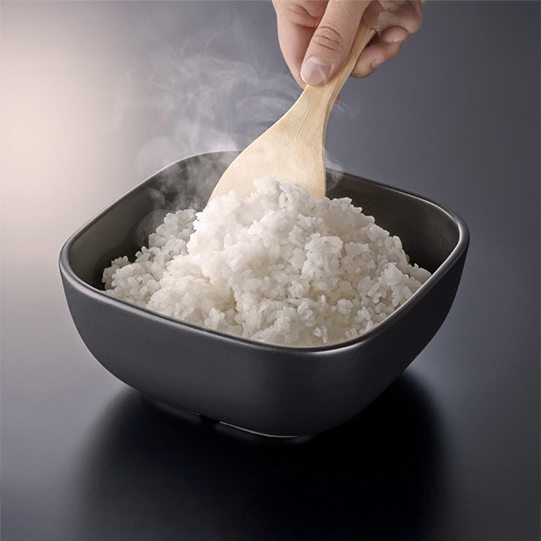 HARIO ご飯釜のおひつ 保存容器 2合用 耐熱陶器 一人暮らし 電子レンジOK