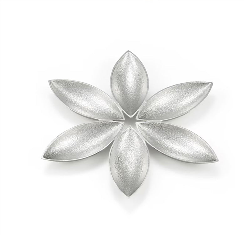 能作 おしゃれな前菜プレート 皿 スターフラワー 花びら アクセサリートレイ