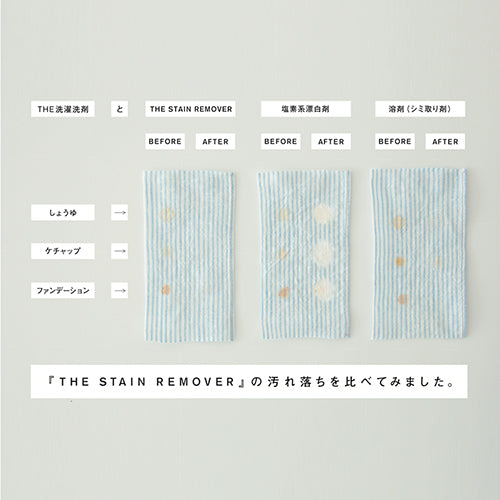 the-stainremover