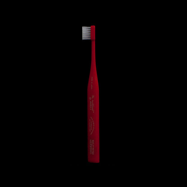 自立する 歯ブラシ 歯磨き粉のいらない THE TOOTHBRUSH by MISOKA【送料無料】