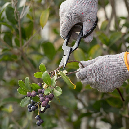 ガーデニング好きな方へ 花バサミ＆三河軍手セット