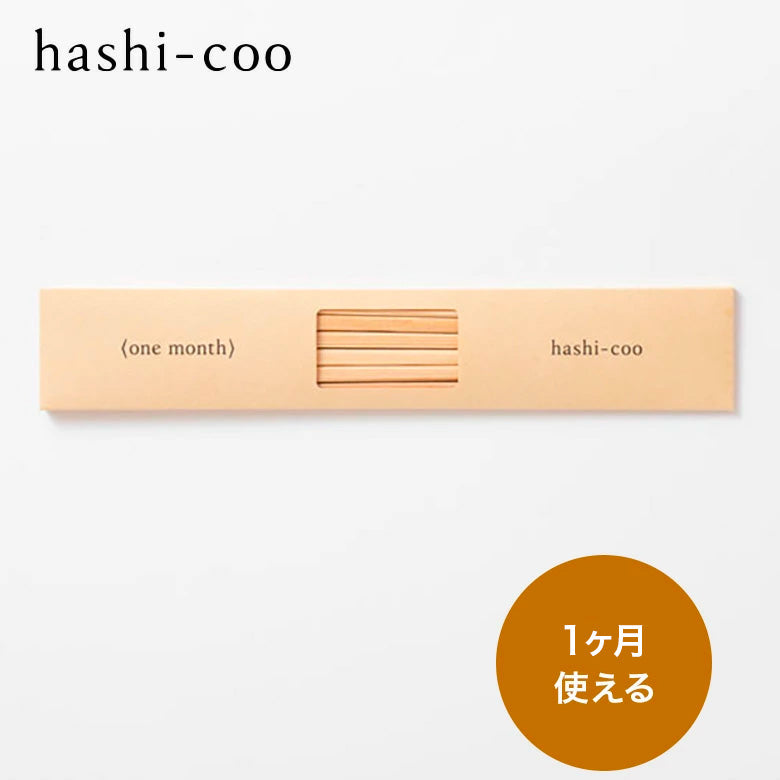 hashicoo-onemonth