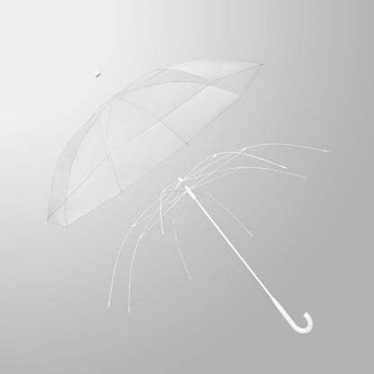 the-umbrella