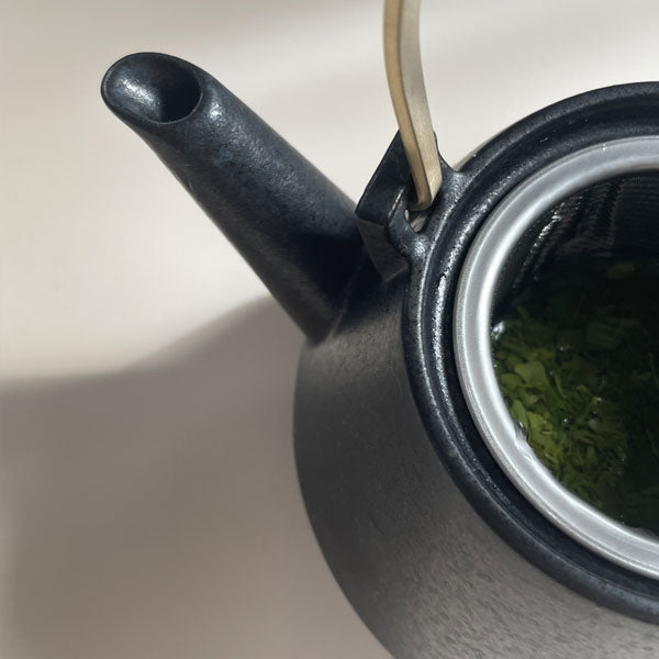 おしゃれな土瓶 急須 煎茶2杯分 美濃焼 Frustum ミニ